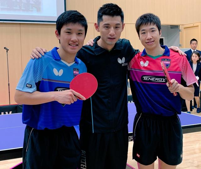 肩肘的小肌 肩肘的小肌